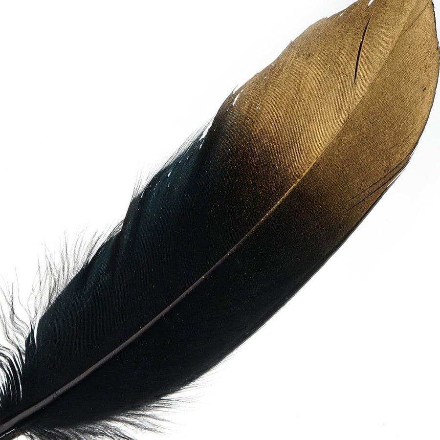 30 Pack | Metallic Gold Dipped Black Real Goose Feathers | Craft Feathers for Party Decoration #whtbkgd