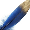  30 Pack | Metallic Gold Dipped Navy Real Goose Feathers | Craft Feathers for Party Decoration#whtbkgd