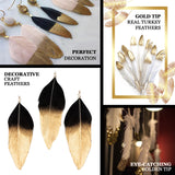 30 Pack | Metallic Gold Tip Dual Tone Real Goose Feathers | Craft Feathers for Party Decoration | Blush / White