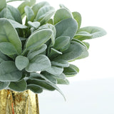 4 Stems | Frosted Green Artificial Lambs Ear Leaf Indoor Plant, Faux Bush