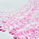 5 Pack | Pink Handheld Surprise Paper Streamers, Confetti Popper for Gender Reveal