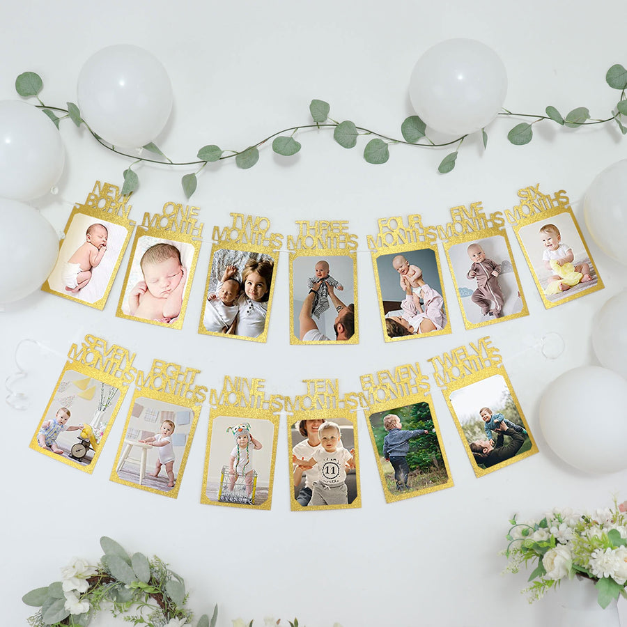 12 Month Milestone 1st Birthday Party Photo Backdrop Hanging Banner, Baby Photo Garland Banner