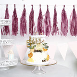 12 Pack | Pre-Tied Eggplant Tissue Paper Tassel Garland With String, Hanging Fringe Party Streamer Backdrop Decor