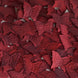 500 Pack | Burgundy Silk Butterfly Confetti Party Table Scatters#whtbkgd