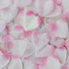 500 Pack | Pink Silk Heart Confetti Party Table Scatters#whtbkgd