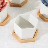 6 Pack | 3inch White Geometric Hexagon Ceramic Planter Pots, Bamboo Tray Base w/ Drainage Hole