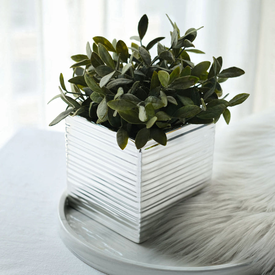 2 Pack | 5inch Silver Brush Textured Ceramic Square Indoor Plant Pots