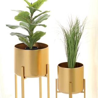 Stylish and Functional Indoor Plant Pots