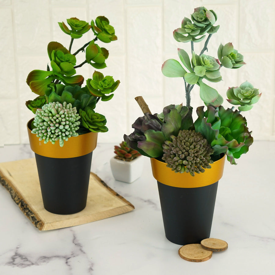 2 Pack | 6inch Black Gold Rimmed Medium Flower Plant Pots, Indoor Decorative Planters