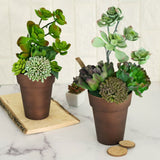 2 Pack | 6inch Rustic Brown Medium Flower Plant Pots, Indoor Decorative Planters