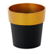 3 Pack | 3inch Black Gold Rimmed Small Flower Plant Pots, Indoor Decorative Planters#whtbkgd