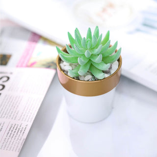 Enhance Your Home Decor with White Gold Rimmed Small Flower Plant Pots