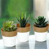3 Pack | 3inch White Gold Rimmed Small Flower Plant Pots, Indoor Decorative Planters
