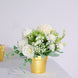 6 Pack | 3inch Gold Plastic Party Favor Bucket-Containers, Mini Succulent Nursery Planters