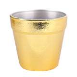 6 Pack | 3inch Gold Plastic Party Favor Bucket-Containers, Mini Succulent Nursery Planters#whtbkgd