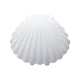12 Pack | 3.5inch White Fillable Seashell Favor Boxes, Beach Wedding Baby Shower Party Favor Holders#whtbkgd