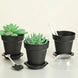 12 Pack | 6oz Black Small Favor Jars Succulent Planter Pots Ice Cream Dessert Cups with Accessories