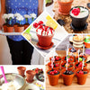 12 Pack | 6oz Terracotta Small Favor Jars Succulent Planter Pots Ice Cream Dessert Cups with Accessories