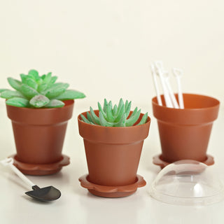 Terracotta (Rust) Succulent Planter Pots for Your Event Decor