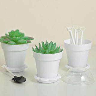 White Succulent Planter Pots for Stylish Event Decor