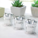 12 Pack | Silver Pail Bucket Party Favor Candy Gift Boxes | Mini Planter
