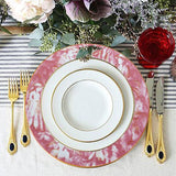 Set Of 12 | 11" Pink Break Resistant Porcelain Plates | Microwave Safe Dinner Plates
