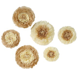 6 Multi Size Pack | Carnation Taupe/Natural 3D Wall Flowers Giant Tissue Paper Flowers - 12",16",20"