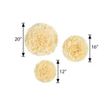 6 Multi Size Pack | Carnation Ivory/Cream 3D Wall Flowers Giant Tissue Paper Flowers - 12",16",20"