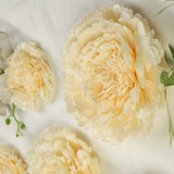 6 Multi Size Pack | Carnation Ivory/Cream 3D Wall Flowers Giant Tissue Paper Flowers - 12",16",20"