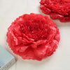 6 Multi Size Pack | Carnation Red Dual Tone 3D Wall Flowers Giant Tissue Paper Flowers - 12",16",20"