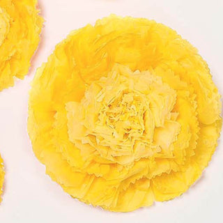 Elevate Your Event Decor with Yellow Giant Carnation 3D Paper Flowers