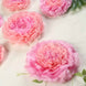 Pack of 6 | Blush/Pink | Multi-size Carnation 3D Giant Paper Flowers 
