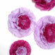 Pack of 6 | Lavender Lilac | Multi-size Carnation 3D Giant Paper Flowers