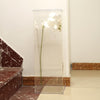 32 inch Clear Acrylic Pedestal Risers - Transparent Acrylic Display Boxes