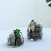 2 lbs Assorted Natural Polished Decorative Stones for Vases | Landscaping Rocks Aquarium Gravels