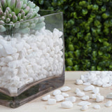 Pack of 2 Lbs | White Decorative Crushed Gravel | Pebble Stone Vase Fillers