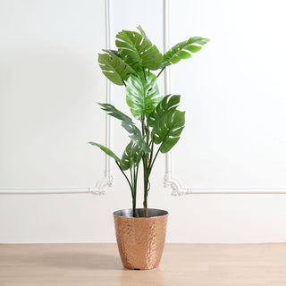 The Perfect Addition to Your Indoor Plant Collection