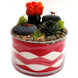 1 Pound | Coral Decorative Sand For Vase Filler