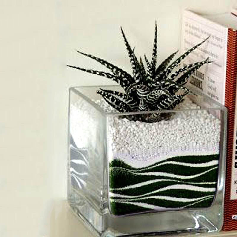 1 Pound | Grass Green Decorative Sand For Vase Filler