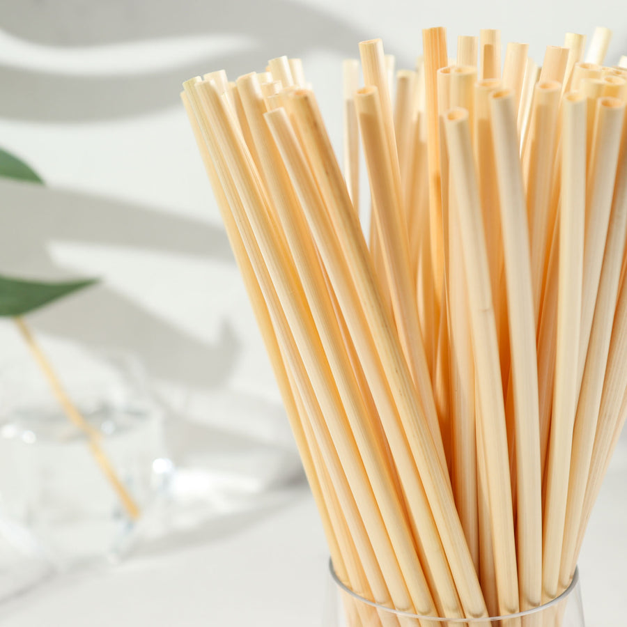 Compostable Plant Based Disposable Plastic FREE Straws, Eco-Friendly 9inch Wheat Drinking Straws