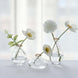 Set of 3 | Small Clear Glass Flower Bud Vases With Metallic Gold Rim