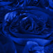 90" x 156" Royal Blue Grandiose Rosette 3D Satin Rectangle Tablecloth