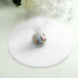 25 Pack | 9inch White Sheer Nylon Tulle Circles Favor Wrap Craft Fabric#whtbkgd