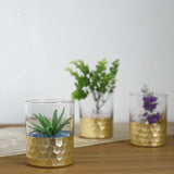 3 Pack | 4inch Glass Cylinder Vases with Gold Honeycomb Base | Glass Candle Holders