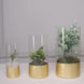 Set of 3 | Glass Cylinder Vases with Gold Honeycomb Base | Glass Candle Holders | 8" | 10" | 12"