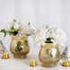 Crackle Glass Flower Vase| Hurricane Candle Holders