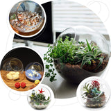 9" Slant Cut Round Clear Sphere Vase | Hobnail Glass Bubble Vase | Table Top Candle Holder