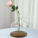 10" Heavy Duty Clear Glass Vases | Candle Holder Centerpiece | Glass Cloche Jar Dome With Wooden Base