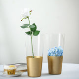 2 Pack | 12inch Clear Glass Vases | Bud Vases | Gold Dipped Cylinder Vases