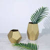 Set of 2 | Geometric Flower Vases, Matte Gold Modern Glass Vases Table Centerpiece - 5inch | 8inch